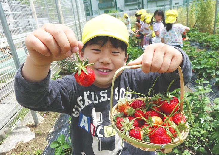 あそび＝学び　生きる力の基礎を育む
